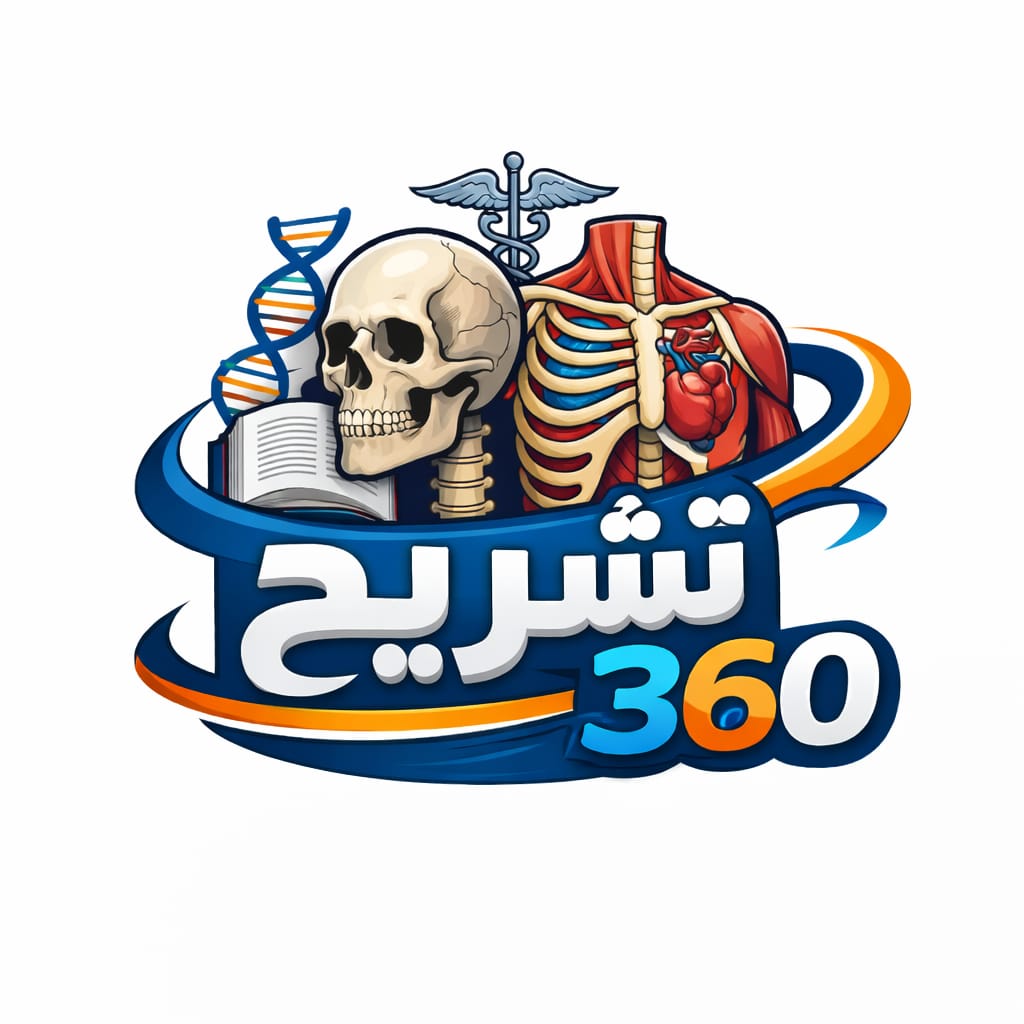 Anatomy